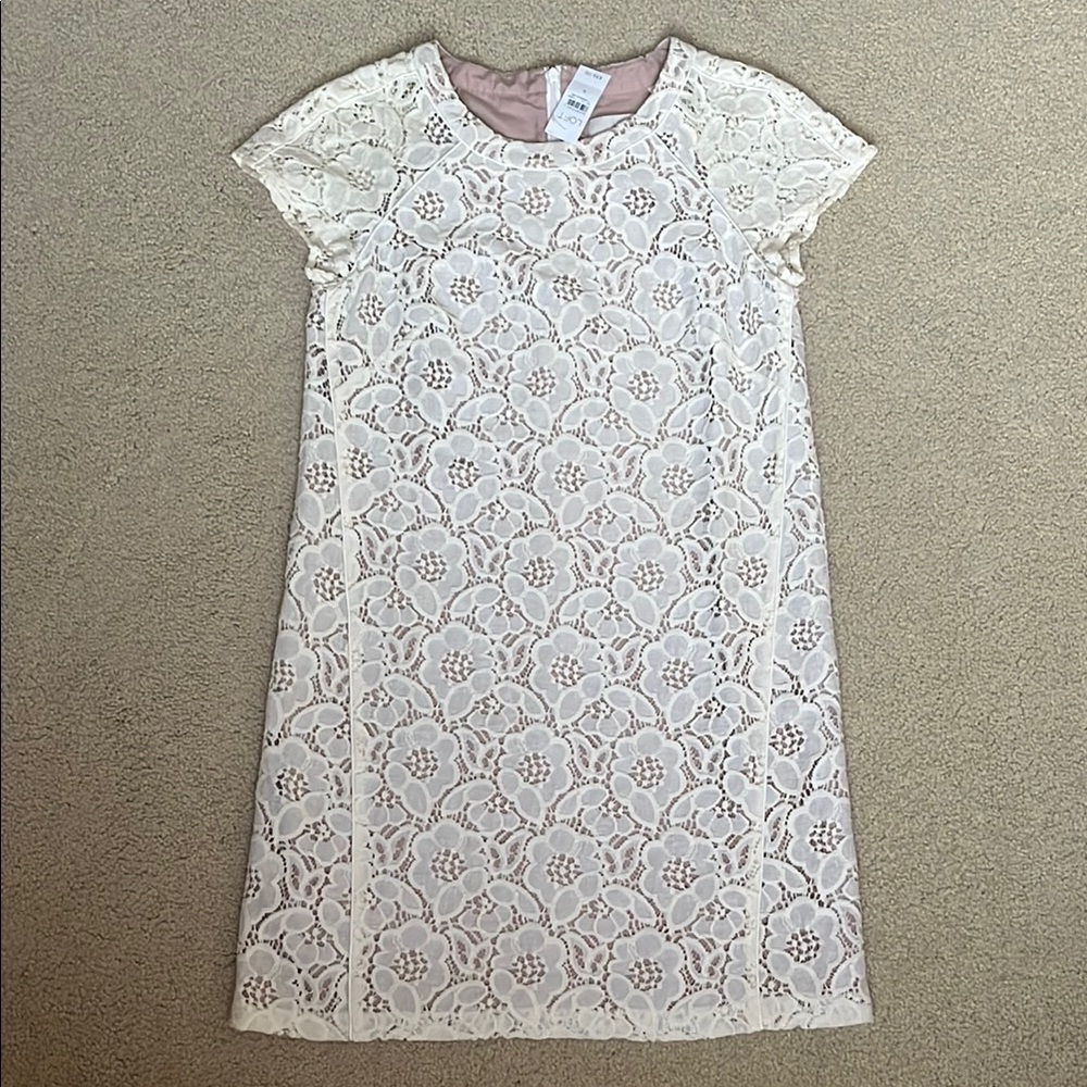 NWT LOFT Elegant Timeless White Lace Eyelet Dress Size 6